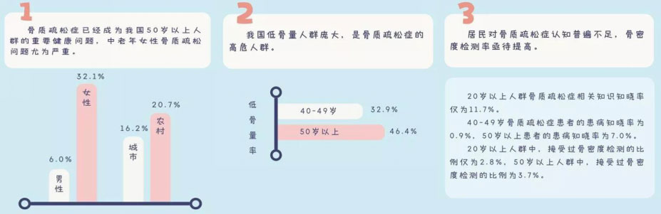 2025年超声骨密度仪市场分析