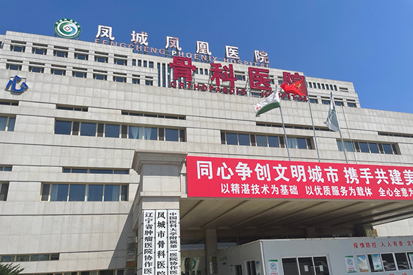 丹东市凤城凤凰医院采购品源双能X射线骨密度仪